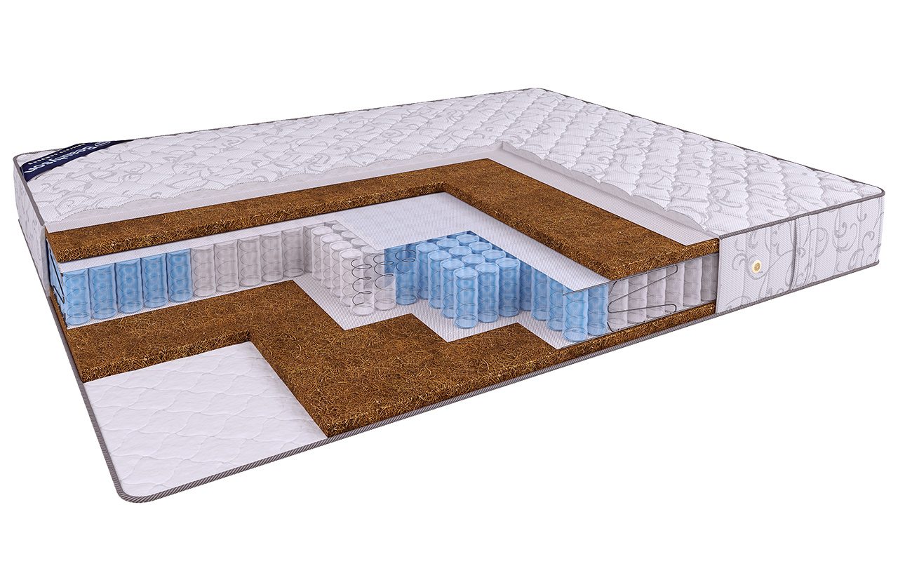 Beautyson Beauty Hit Hard TFK+